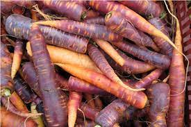 Carrots Used To Be Purple Before 17th Century