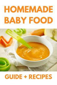 Stage 1 2 And 3 Homemade Baby Food Recipes And Step By Step Guide Baby Food Recipes Easy Baby Food Recipes Baby Food Guide