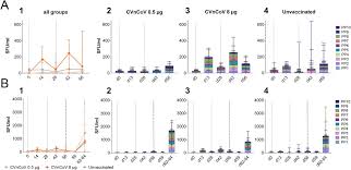 Biontech und pfizer nennen ergebnisse „ermutigend. Mrna Vaccine Cvncov Protects Non Human Primates From Sars Cov 2 Challenge Infection Biorxiv