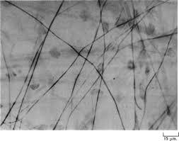 Image result for Grey 1997 CIL