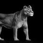 Profile Picture of Erick Lear (akronguy1977) - Profile - Pintereston Google