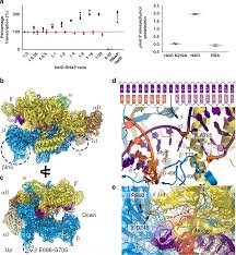 Through the playful act of coloring in the page, children reveal their interpretations of grammatical constructions and lexical items. Molecular Basis For Rna Polymerase Dependent Transcription Complex Recycling By The Helicase Like Motor Protein Held Nature Communications