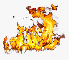 Select the background you want to use, and then click on the subscribe button. Animated Transparent Background Fire Gif Hd Png Download Kindpng