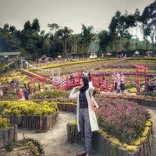 Vonis i kadek angga budayasa lakukan di pengadilan negeri denpasar. Kutabawa Flower Garden Destinasi Wisata Di Purbalingga Lensa Purbalingga