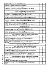 Infant Toddler Developmental Assessment Editable Preschool Assessment Assessment Toddler Curriculum