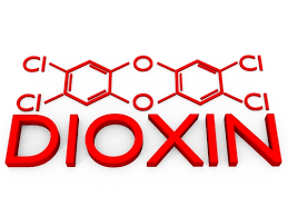 Chronic exposure of animals to dioxins has resulted in several types of cancer. Dioxin Contamination In Breast Milk An Italian Case Study