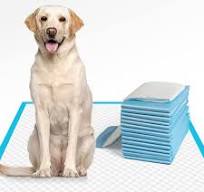 Amazon.com: IMMCUTE Almohadillas para orina de perro, extra ...