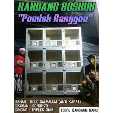 Kucing hutan termasuk kucing yang aktif, maka perhatikan ukuran kandang yang akan anda buat. Beli Kandang Macan Merpati 9 Pintu Kandang Burung Dara Seetracker Indonesia