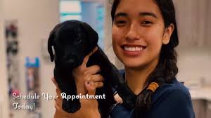 Broadway pet hospital has provided quality veterinary care to the oakland area for over 40 years. Veterinarian Services In Fresno Ca Sunnyside Pet Hospital