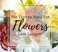 Flowers lasts longer when kept in warm water rather than cold. 6 Tips To Make Cut Flowers Last Longer Sparkles In The Everyday