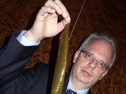 Schädlingsbekämpfung: Mit Sexfallen gegen die Mottenplage