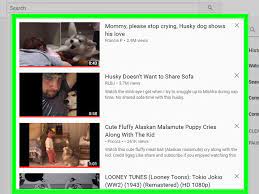 How to steps to check youtube history on desktop. How To View Your Youtube History On Pc Or Mac 3 Steps