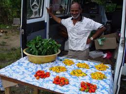 Suriname faced confusion in the years after independence. Suriname Unberuhrtes Naturparadies In Sudamerika Suriname