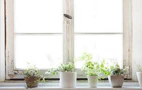 We did not find results for: Changer De Fenetre Choix Prix Et Installation