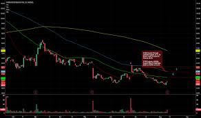 Pbyi Stock Price And Chart Nasdaq Pbyi Tradingview