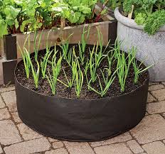 Garlic Grow Bag Grow Bags Growing Vegetables Plants