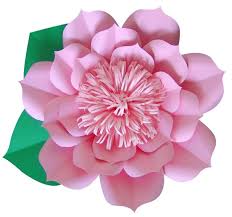 Check spelling or type a new query. Catalogo De Flores Gigantes Flores De Papel