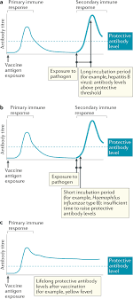 Your hair deserves star treatment and so does the planet. A Guide To Vaccinology From Basic Principles To New Developments Nature Reviews Immunology