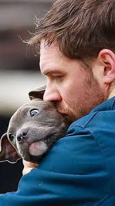 Sale tom hardy bull terrier Clearance