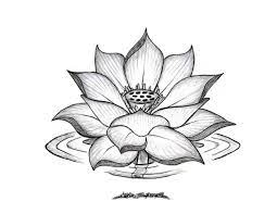 Gambaran arsiran jembatan kereasi anak bangsa. Gambar Bunga Mawar Yang Mudah Digambar 15 Gambar Sketsa Bunga Dari Pensil Yang Mudah Dibuat Cara Lotus Flower Drawing Flower Drawing Images Flower Sketches