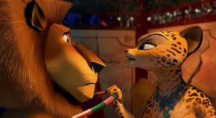 Madagascar 3 alex e gia firework. Holding The Cat 1080p 2k 4k 5k Hd Wallpapers Free Download Wallpaper Flare