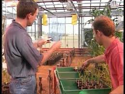 C Est Pas Sorcier Pesticides Pesticides Sorciere Agriculture