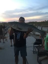 The Catch Of A Lifetime Delaware Surf Fishing Com
