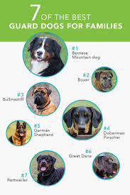 These dogs have incredible patience, are gentle with the little ones, and can help teach children about responsibility. 7 Of The Best Guard Dogs For Families Care Com