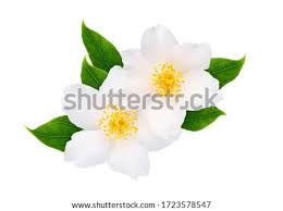 It can be a bit difficult to find, and it will need a potion that will make you fly to get it! Shutterstock Puzzlepix