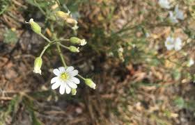 She was nominated for the tony award for best featured actress in a musical in 2014 for port. Annika Larson Bulb