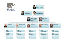 example org chart bismi margarethaydon com