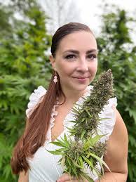 Is this buffalo bush male or female?