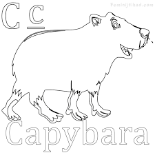 ﻿ © 2015 we photography. Easy Capybara Coloring Pages Pdf Free Coloring Sheets Coloring Pages Animal Coloring Pages Capybara