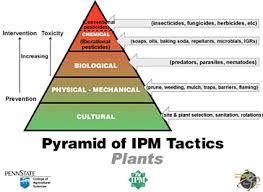 Integrated pest management (ipm) is a process that pest control specialists use to eliminate pests while minimizing any risk to people and the environment. Integrated Pest Management Piedmont Master Gardeners