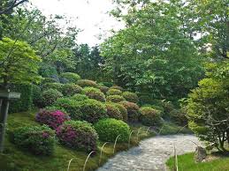 Auf grund des stressigen alltags ist der trend, japanischen garten zu gestalten, immer beliebter. Besuch Im Japanischen Bonsaigarten Ferch Inspirierende Gartenwelten Gartenberatung Gartenplanung Gartenblog Seminare