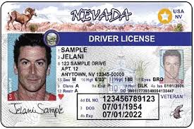Fake Nevada ID Identical DMV Polycarbonate