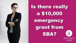 How To Fill Out Sba 10 000 Emergency Grant Application Youtube