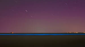Rotterdam the hague airport is 49.7. Noorderlicht En Zeevonk Kleuren Lucht En Water