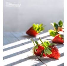 Strawberry Food Photography