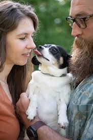 Pasture-raised organic chicken backs for broth in Belmont, NH?