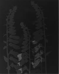 Bildergebnis für The Estate of Anwar Jalal Shemza