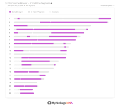 My dna test results revealed! How Myheritage Found A New Business In Dna Techcrunch
