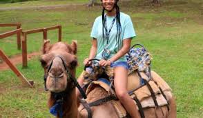 Click camel taste it all project in the drop down menu. Ocho Rios Outback Adventure With Camel Ride Ocho Rios Project Expedition