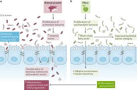 People use it as medicine. Plant Based Diets To Manage The Risks And Complications Of Chronic Kidney Disease Nature Reviews Nephrology