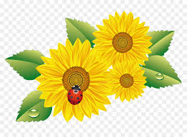 Bunga matahari gif gambar animasi amp animasi bergerak home design. Detail Gambar Koleksi Gambar Gif Bunga Matahari Terkini Eye Candy Photogra