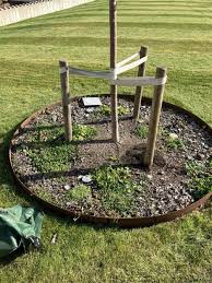 Image result for site:byggahus.se plantering