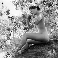 Webber rule 34  смешные картинки, мемы и приколы на JoyReactor