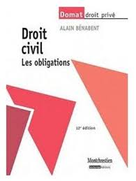 Printpdvlivre Kleijnena Telecharger Francais Pdf Livre Intitule Droit En 2020 Droit Civil Telechargement Livres A Lire