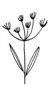 Kreidemarker vorlagen zum ausdrucken fensterbilder mit dem kreidemarker kreidemarker vorlagen weihnachten wunderbar 64 besten. Blume40 Blumenkarten Blumen Tattoo Vorlage Blumen