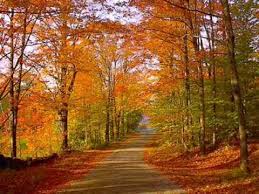 Image result for New England fall